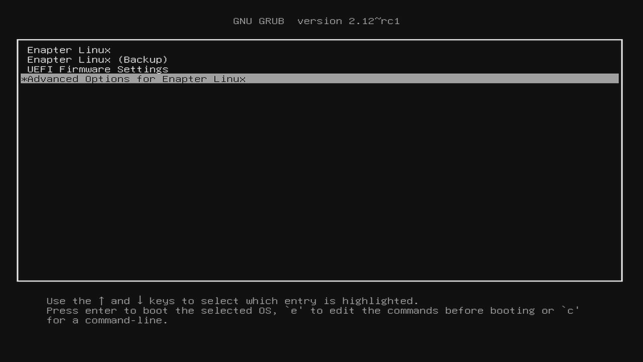 Enapter Gateway Grub Advanced Options Selected