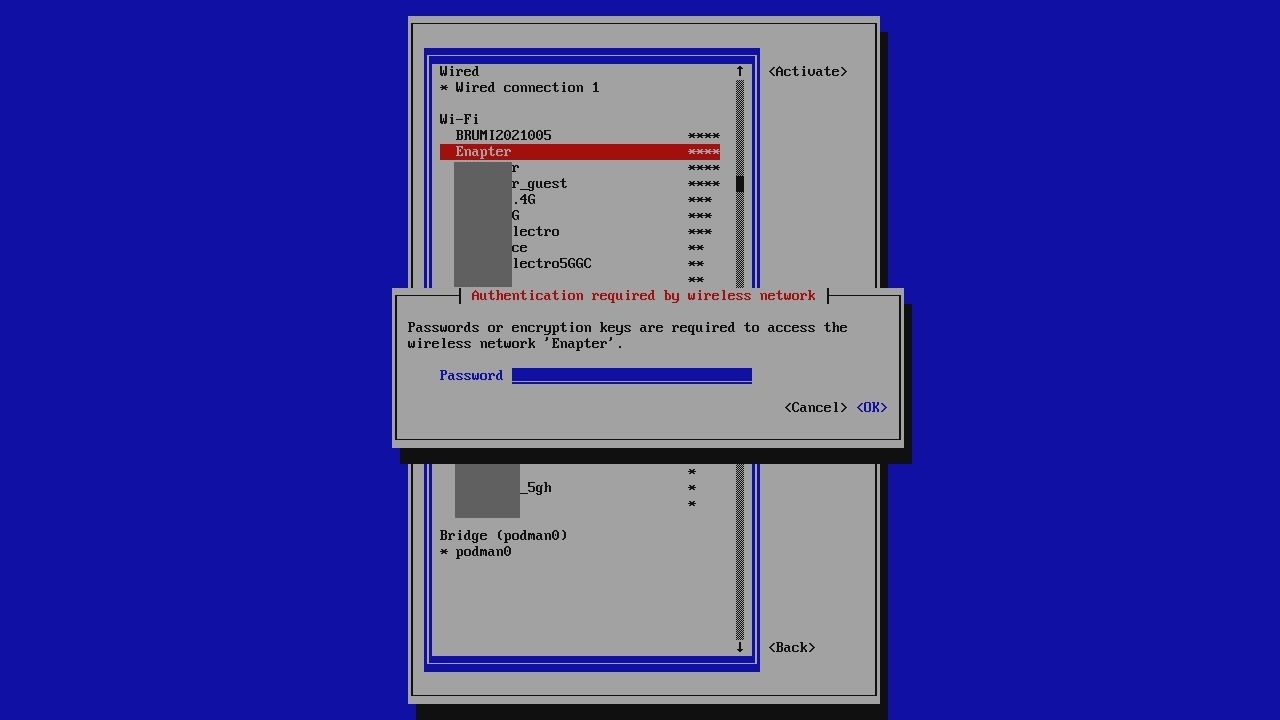 NMTUI WiFi Password Prompt